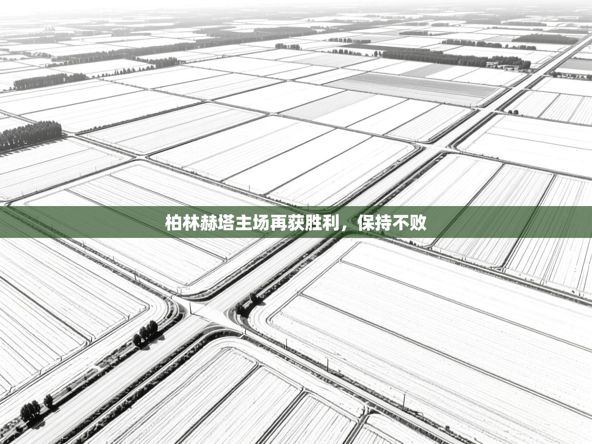 柏林赫塔主场再获胜利，保持不败  第2张