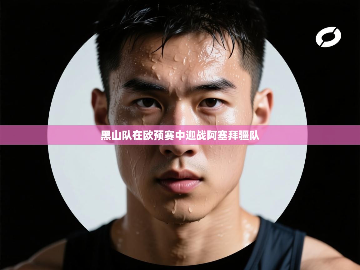 黑山队在欧预赛中迎战阿塞拜疆队  第2张