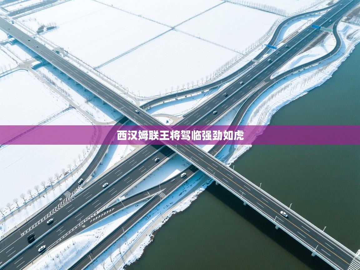 西汉姆联王将驾临强劲如虎  第1张