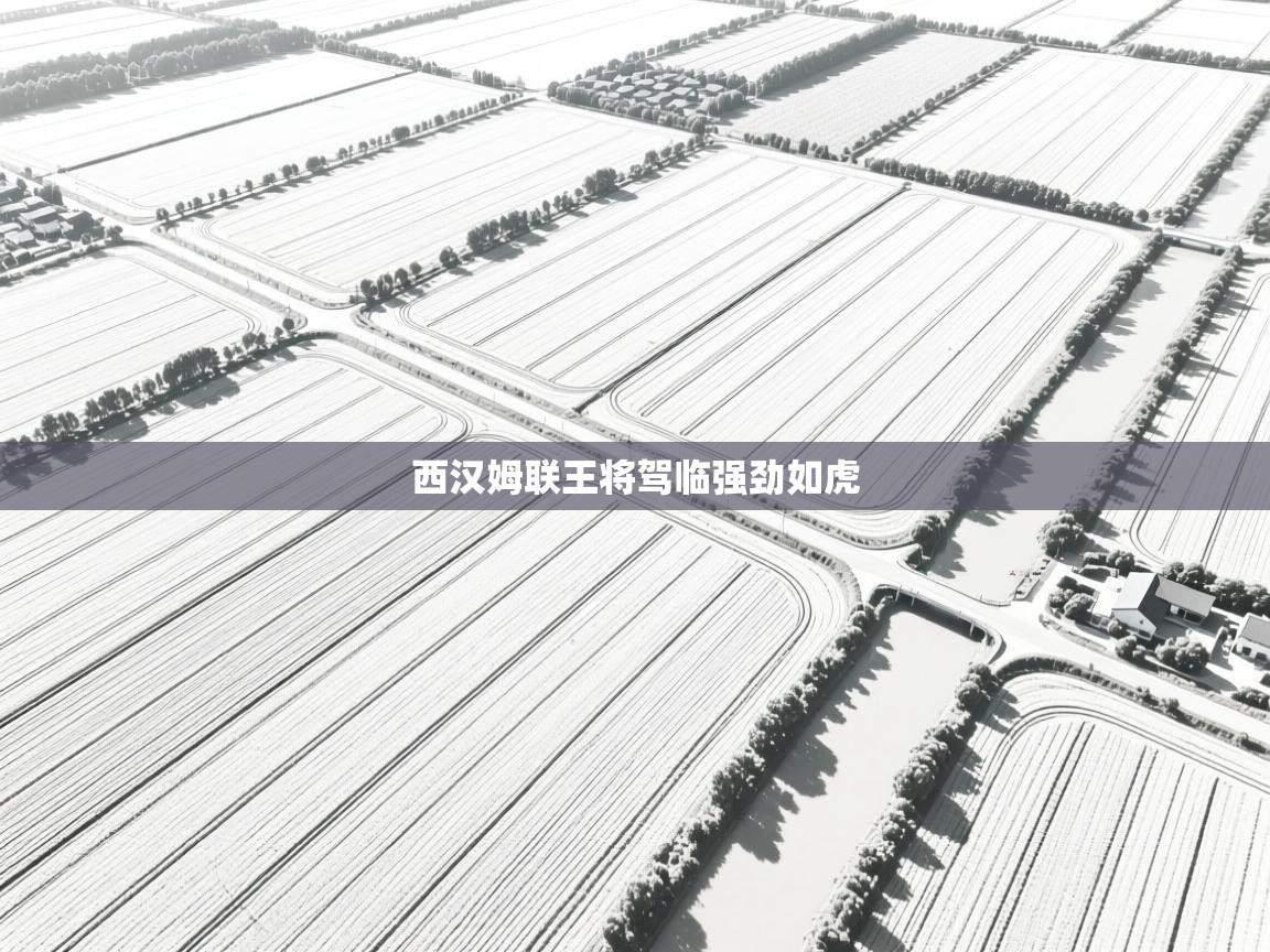 西汉姆联王将驾临强劲如虎  第2张