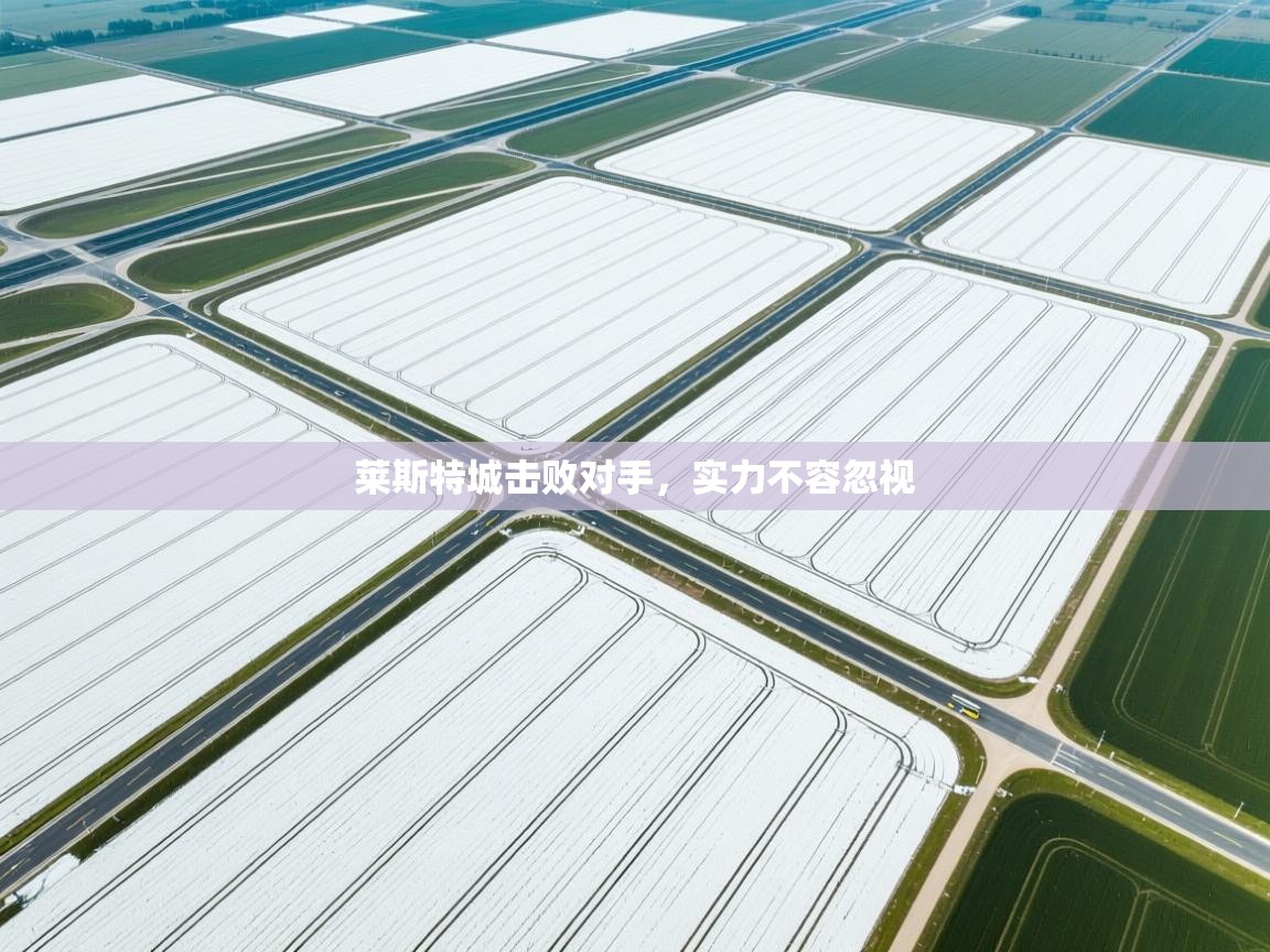 莱斯特城击败对手，实力不容忽视  第1张