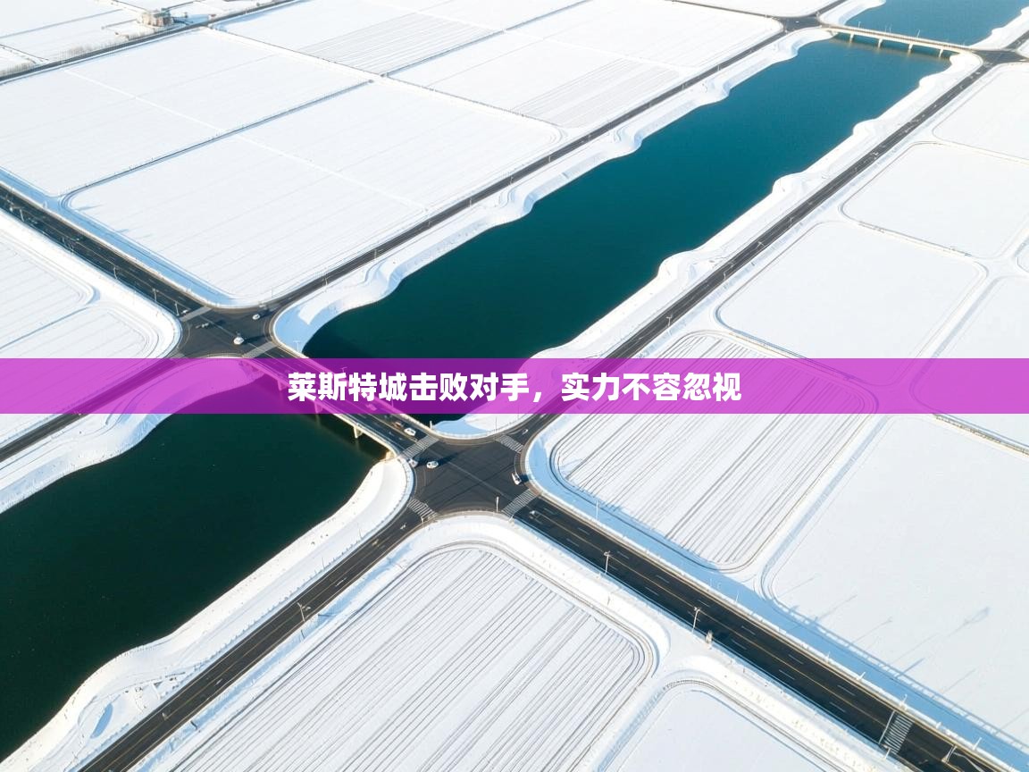 莱斯特城击败对手，实力不容忽视  第2张